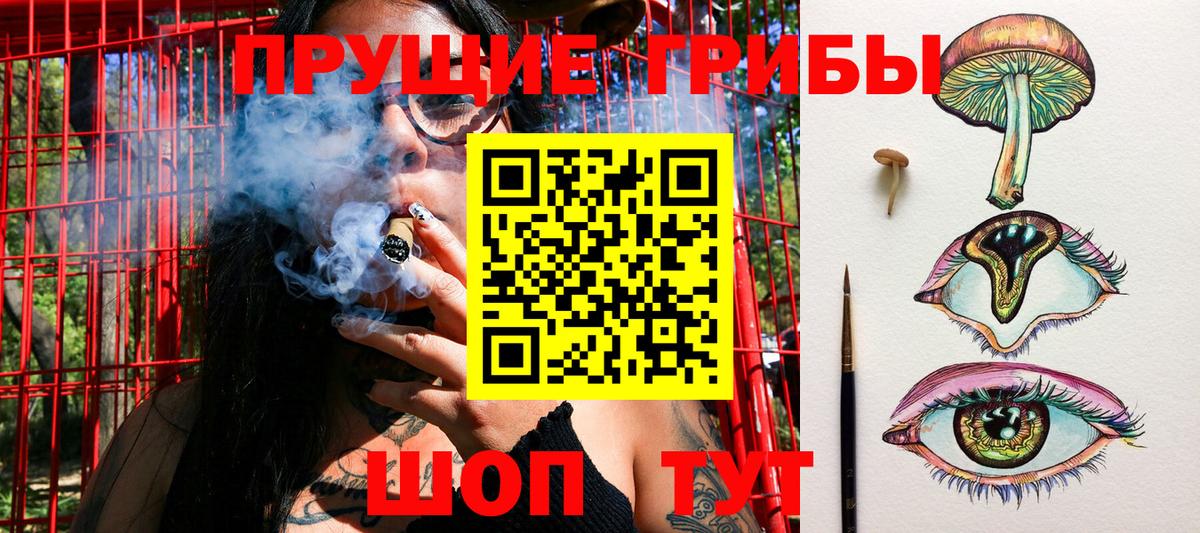 Галлюциногенные грибы MAGIC MUSHROOMS Волгоград